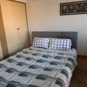 One large bed room for rent