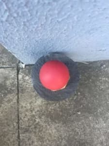 Red Bouncy Ball