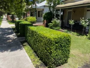 Gardening and Lawn Services 