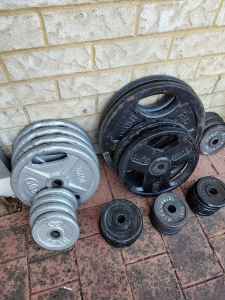 Various steel gym plates, bar bells and weights bench for sale