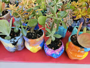 Various succulents growing in brightly coloured hand -painted pots.