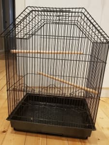 Bird cage 