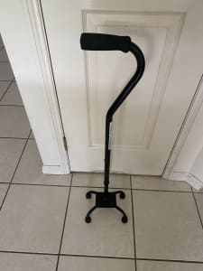 Walking Stick with Supports
