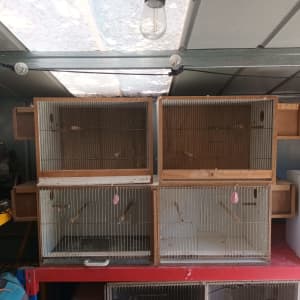Budgie / Finch breeding boxes