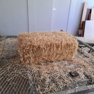 straw (not hay) bales 90x50x35 cm