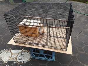 Breeding Flight Bird Cage With Nest Box - Excellent Condition