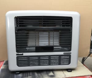 Rinnai Nat gas heater