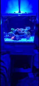 Fish tank and hundreds of extras