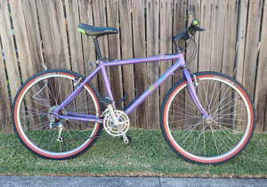 collectable early 1990s mountain bike Araya Muddyfox