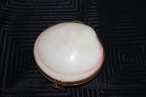 CLAM SHELL vintage seashell brass edged hinged coin purse