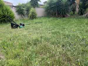 Lawn mowing / Grass cutting