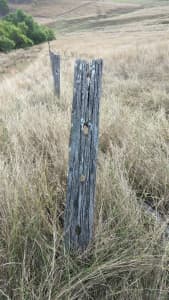 old hand split hardwood timber fence posts