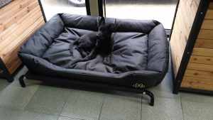 Heavyduty Canvas Waterproof Pet Dog Cat Bed Mattress 600D Polyester XL