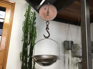 Salter Scales, Brass/Copper/Chrome, stainless steel bowl, Farm House