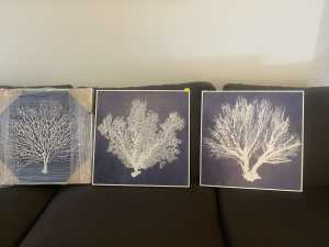 Coastal coral framed prints for sale today in a set of 3