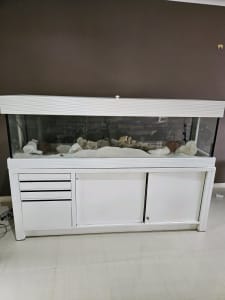 6ft Fish Tank - Complete Set-Up