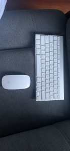 Apple keyboard and mouse bundle