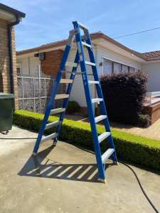 8 ft ladder