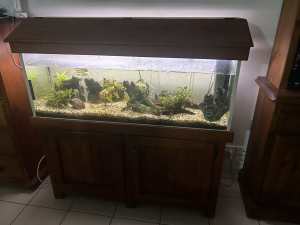 Fish Tank 4ft