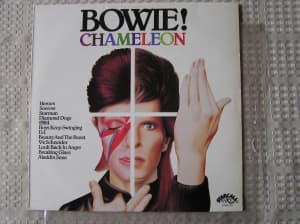David Bowie Vinyl LP Records