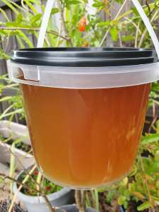100% Pure Raw Honey - Cold Extracted