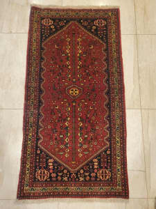 Shiraz / Abbadeh Tribal rug