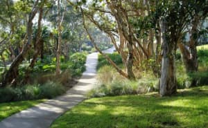 Landscape architecture tutor Sydney