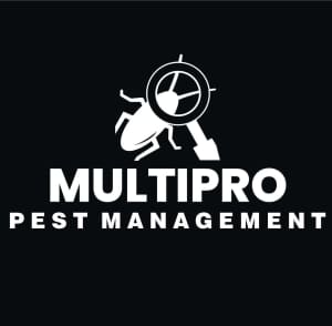 Pest Control, Termites, Bird control Sydney, Liverpool and South West