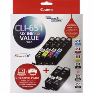 Canon CLI 651 and PGI 650 Ink Cartridges