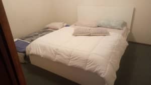 Room available for rent Bayswater women preferred