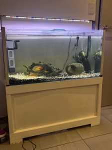 Fish tank with everything included 