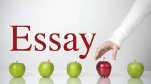 Help with Custom Research Papers/Report - ✔Top Quality Guaranteed!✔