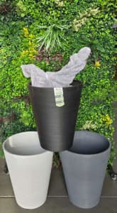 Designer Plants Bunny Boneys Hopping Mad Pots Sales! 47cm Pots