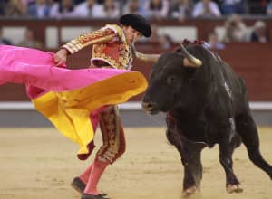 posters spain bull fighter