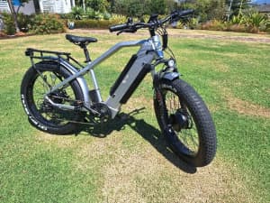 NEW AWD E BIKE: Dual 750W Motor Off Road Electric Bicycle