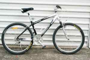 Giant Sedona DX Mountain Bike In good condition 17 inch frame to sui