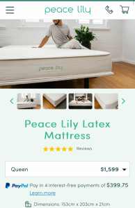 Queen Mattress Pure Latex (Peacelily brand)