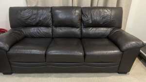 2 and 3 seater leather couches, chocolate colour