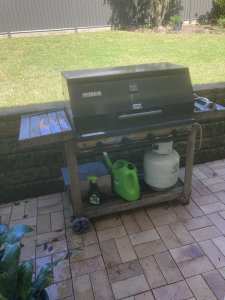 Barbeque with hood and gas bottle