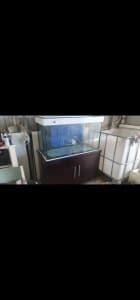 4ft x 2ft x 2ft fish tank and 2 4ftx 1ftx 200mm section tanks