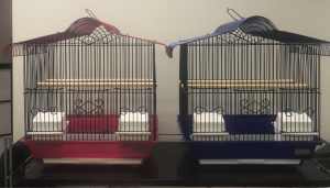 BRAND NEW small cage with wood perches $30ea we have Eftpos Available
