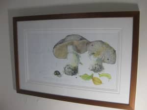 Pauline Dewar (Botanical Artist) Giclee Print (Framed) Ready To Hang