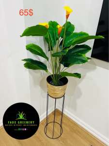 BANANA LEAF WITH FLOWERS PLANT 85cm 2.78 ft BRAND NEW IN BOX