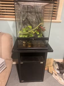 Reptile/ frog tank bioactive enclosure with cabinet stand