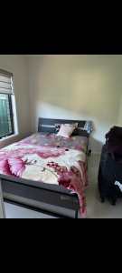 1 room available for rent $280