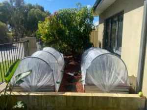 Garden bed with insect protection covers