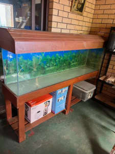 aquarium in good condition 