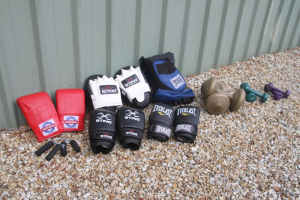 Boxing / Fitness gear