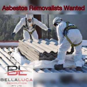 Asbestos Removalist wanted to join our team