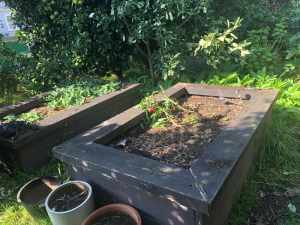 Free raised garden beds (with soil if desired)